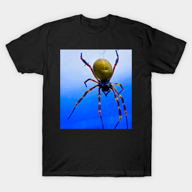 The Golden Orb Weaver Spider T-Shirt by Mickangelhere1